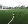 五人制人造草坪足球場每平米價格（圖）
