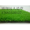 山東人造草坪廠家_青島人造草坪廠家