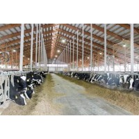 牛羊畜牧智能補光燈