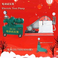 電動試壓泵水壓試驗