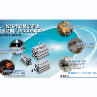 CKD氣缸SSD2-L-100-50-W1全新