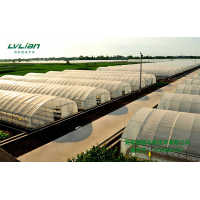 溫室大棚造價影響因素