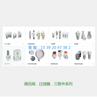 V6010-25-W，帶鎖孔的殘壓排出閥